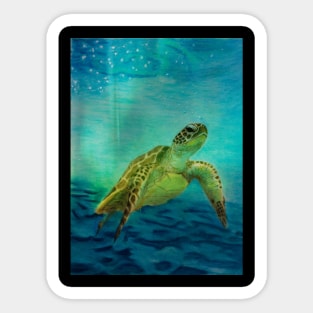 Sea Turtle Sticker